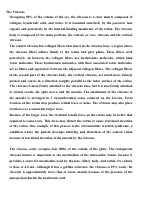retinal detachment.docx1.pdf